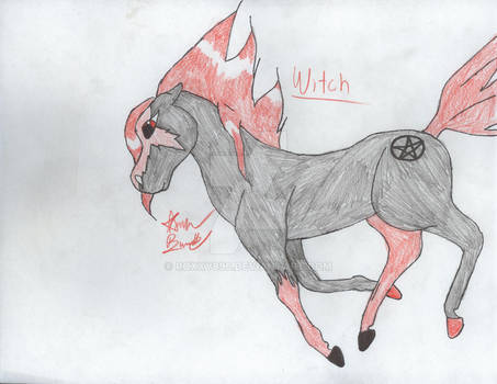 Witch for horsefreak654w