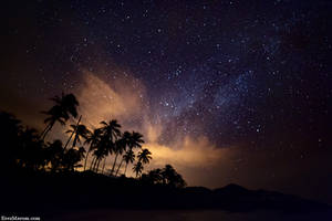 Palms of the Milky Way