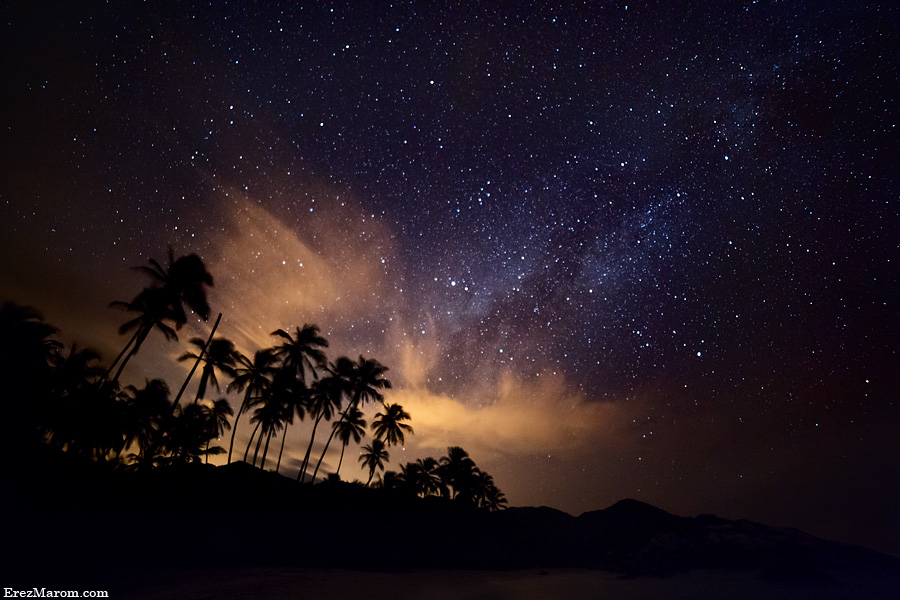 Palms of the Milky Way by erezmarom Palms of the Milky Way by erezmarom