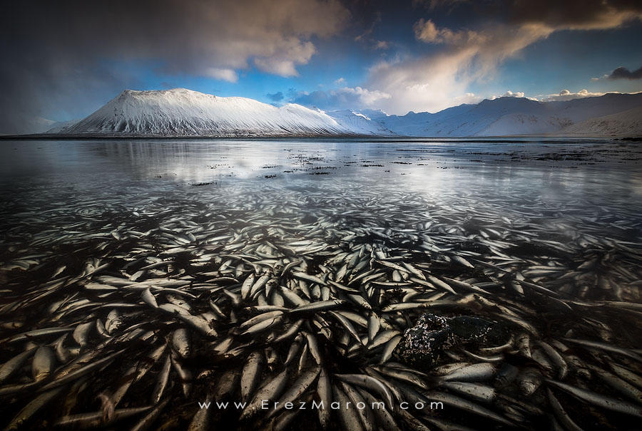 Watery Grave by erezmarom