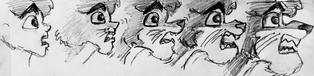 Cartoon Transformation Process Explore the Best Animaltransformationsequence Art | DeviantArt