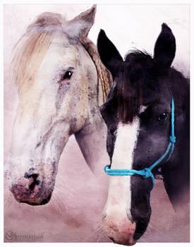 Watercolor horses