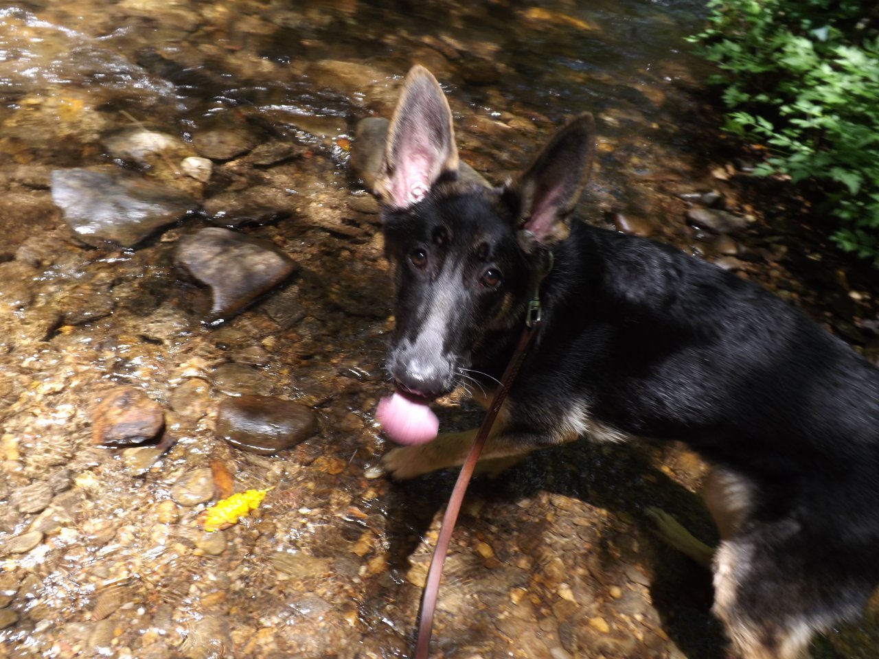 Camping trip - Zeeva stop drinking the water!!!