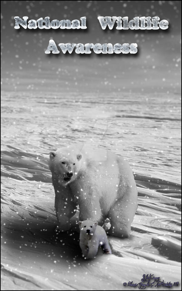 National Wildlife Awareness - Polar Bear by JjMcKinney