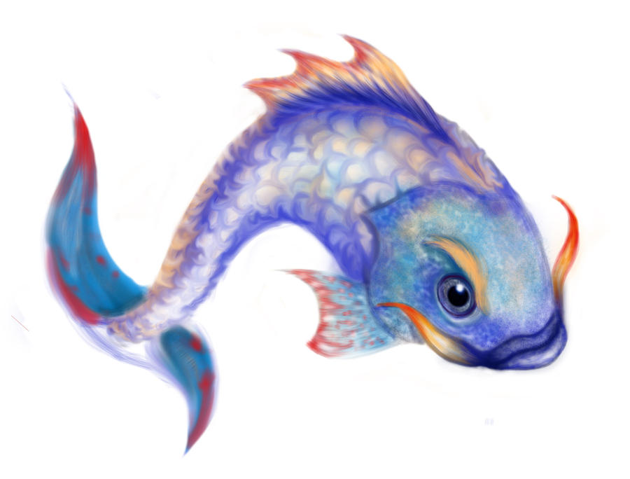 my computer fish unfinished by hieronymus83 on DeviantArt
