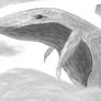 The Flying Whale
