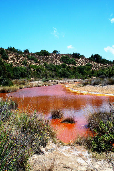 Rio Piscinas