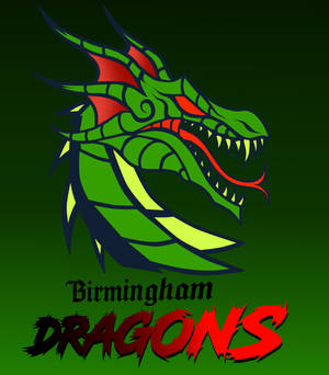 The Birmingham Dragons