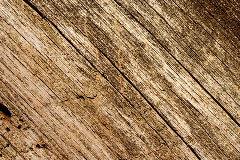 Wood Texture 3 by violety