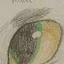 Eye 07