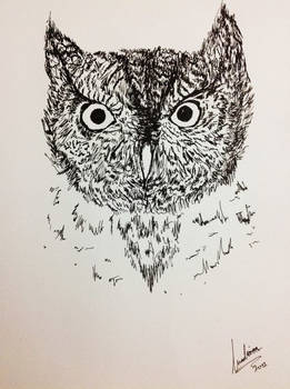 Whiskered Screech Owl