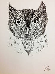 Whiskered Screech Owl