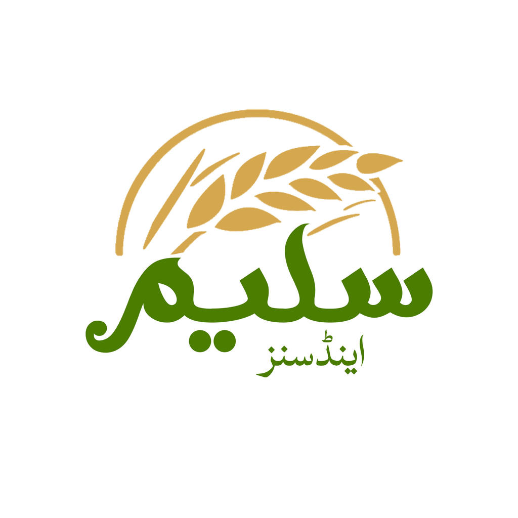 saleem and sons logo by zmalik73 on DeviantArt