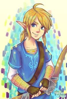 Link? Zelda? I don't know, but I want this game.