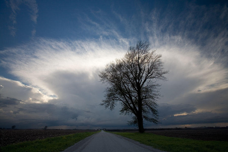 Tree, Incoming Storm by nickmann on DeviantArt