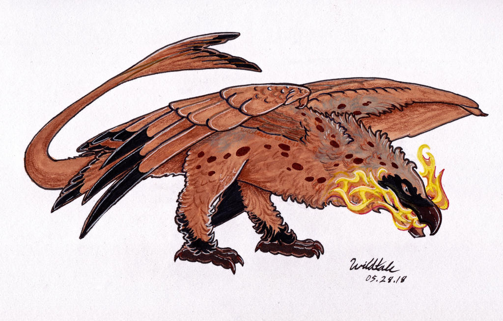 Raidraptor 002 by Wildtale on DeviantArt