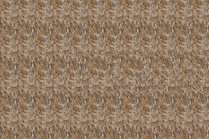 Stereogram Attempt 1