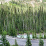 Switchback 4 Picture Panorama