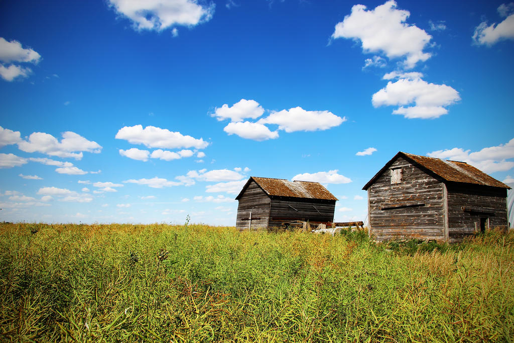 Abandoned barns