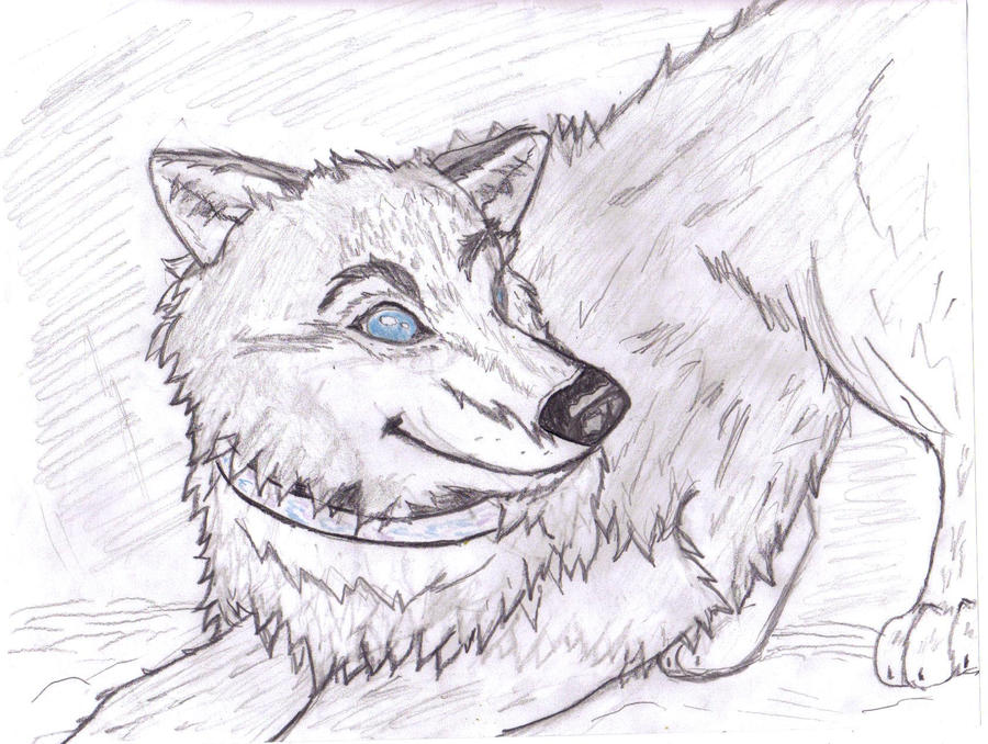 Learning To Draw Cartoon Wolf By Youngcubsimba On Deviantart