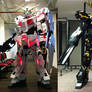 Gundam Unicorn and Banshee cosplay