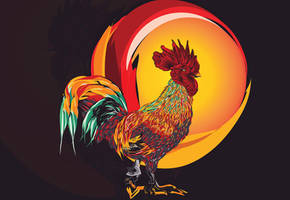 Year of the Rooster