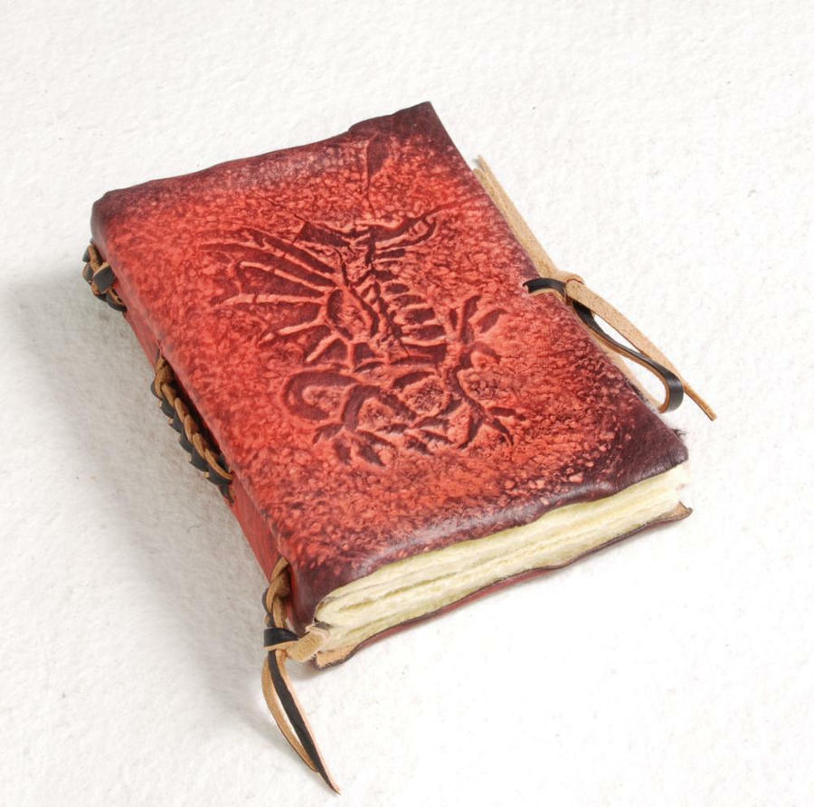 Little Red Dragon Journal