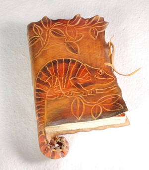 Chameleon Diary by gildbookbinders