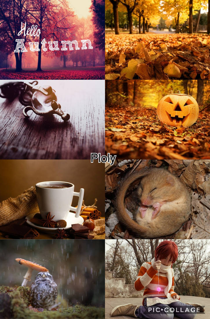 DisneyXSeasons: Autumn by LordPloly on DeviantArt