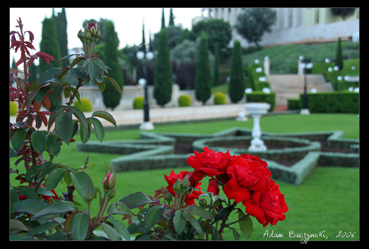 Baha'i Gardens 2