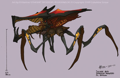 Original Warrior Bug Design