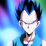 Vegeta Time 