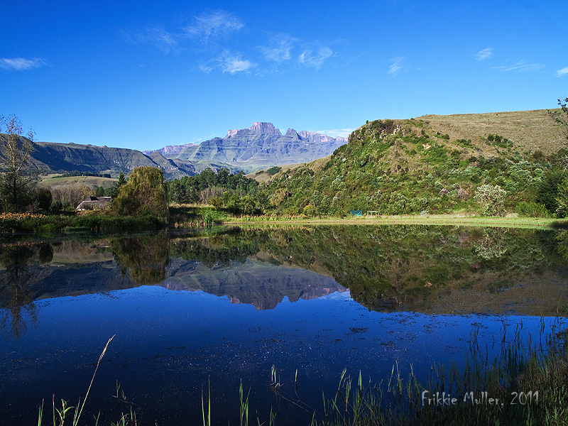 Reflection