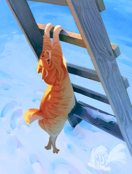 Hang in there (Color Study)