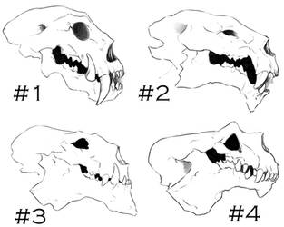 Skull contest sheet