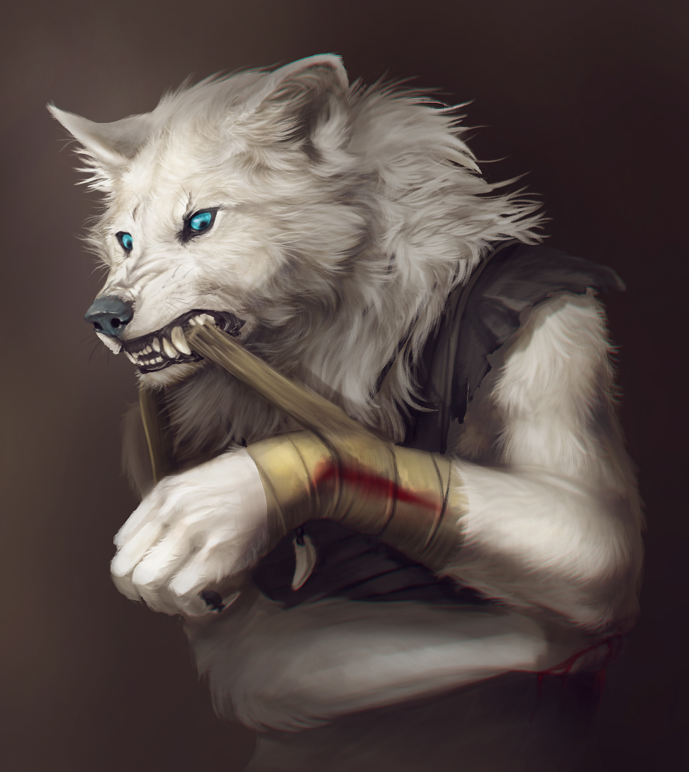 NagiWolf -commission-