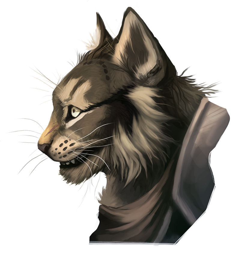 Wolfrott-commission-