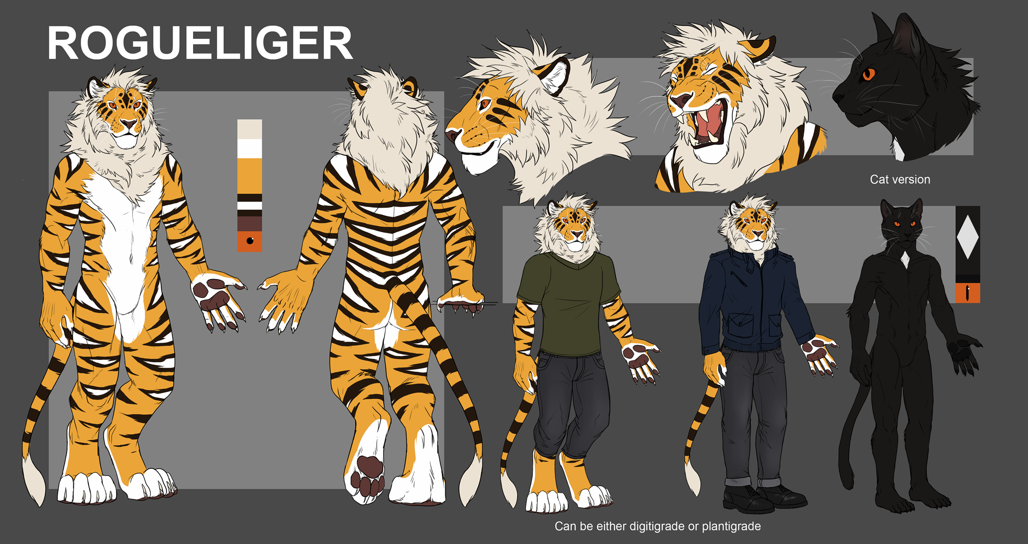 Liger/Cat character sheet