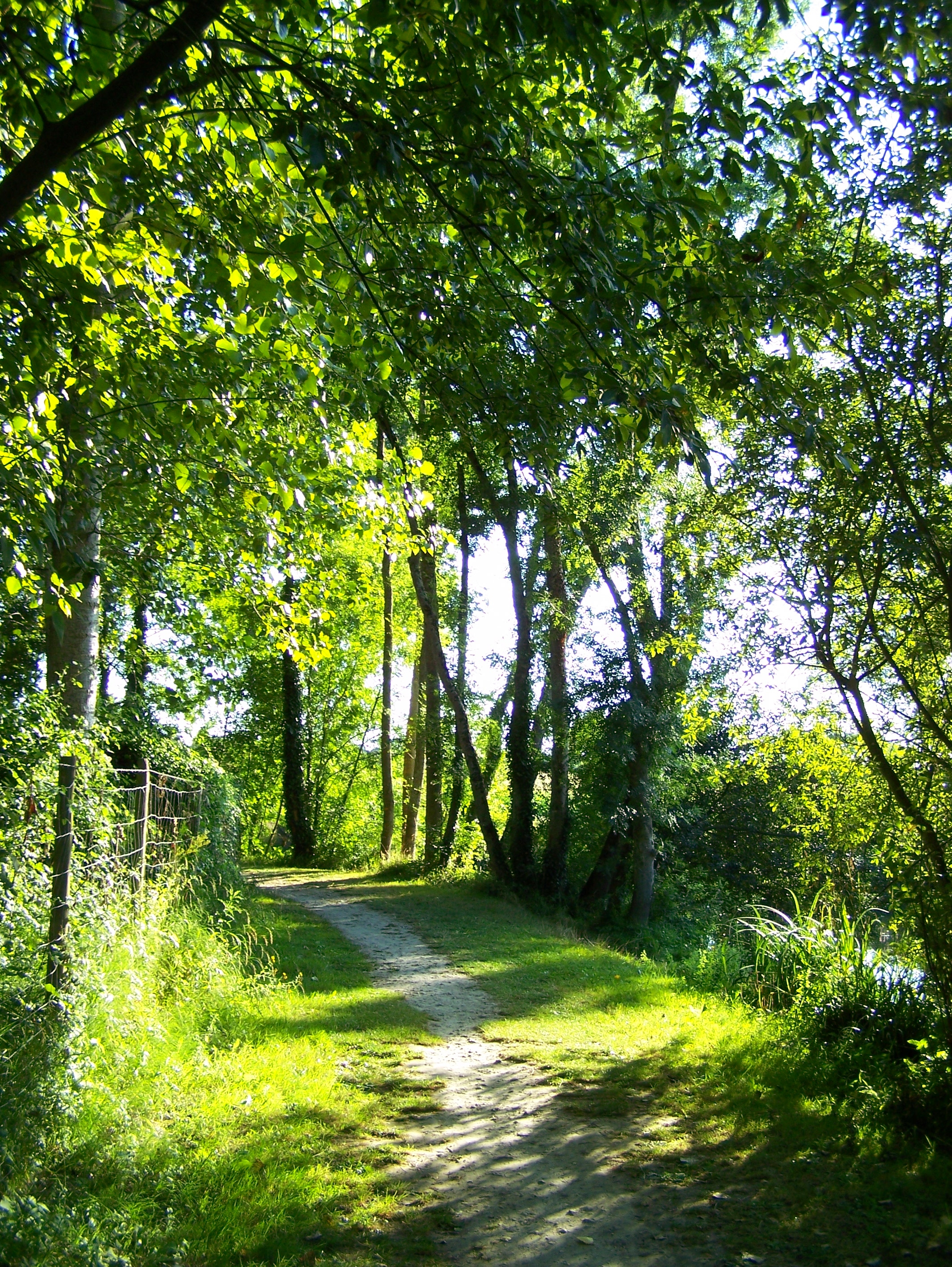 le bord de la riviere6