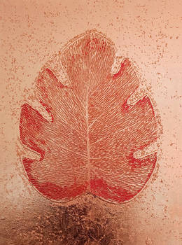 Amor carbasus ab imaginatione pictus.
