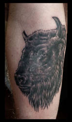 bison tattoo