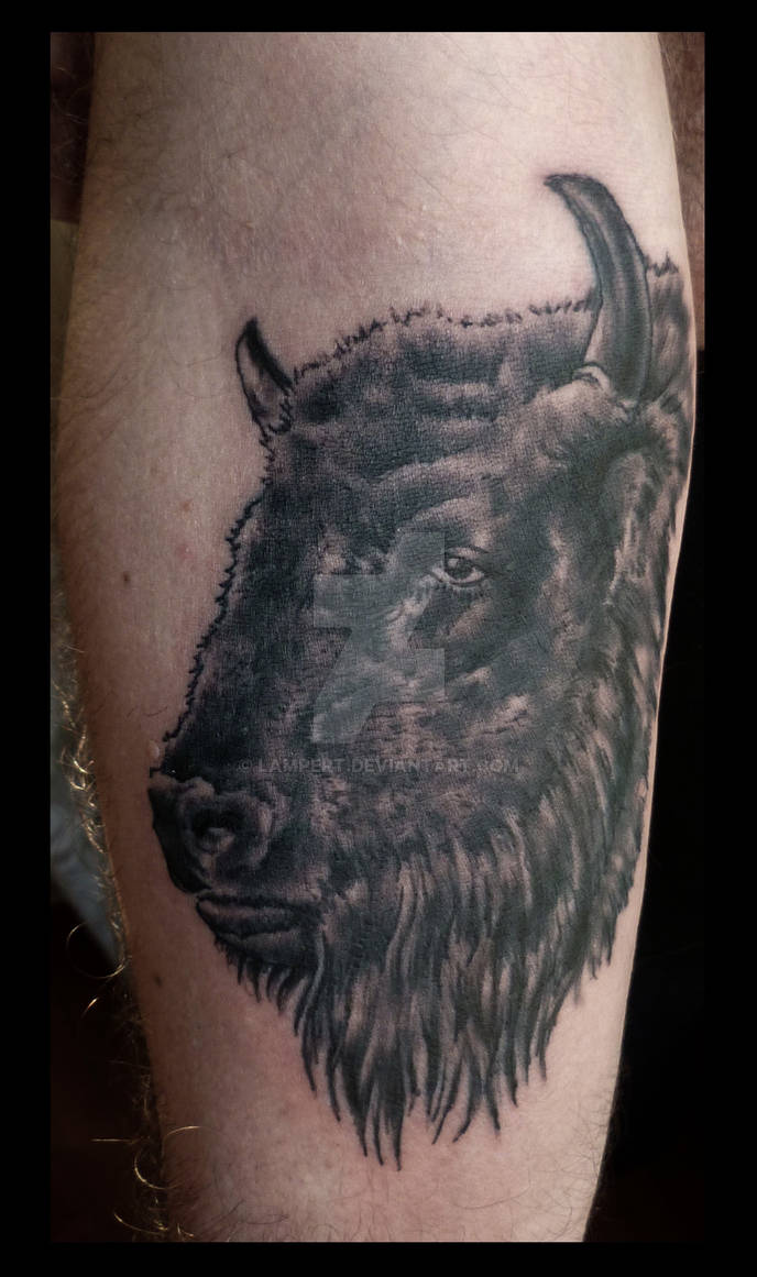 bison tattoo by Lampert on DeviantArt