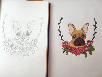 French Bulldogge Drawing 