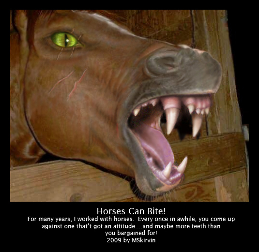 Horses Can Bite