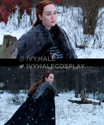Sansa Stark - Game of Thrones - Cosplay