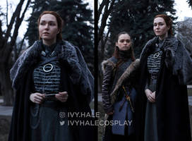 Sansa and Arya Stark - Game of Thrones - Cosplay