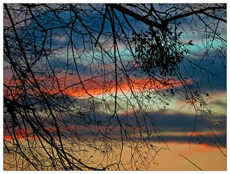 Late afternoon sky