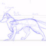 Cor Walk Cycle (Rough)