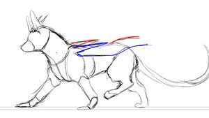 Shasta Walk Test