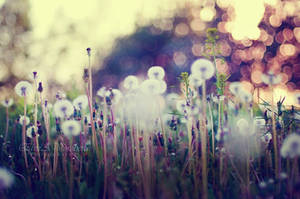 Bright minds by ELVIRARUS Bright minds by ELVIRARUS